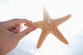 Woman holding starfish at the beach Royalty Free Stock Photo