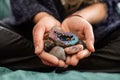 Woman holding stones and healing crystals in her hands