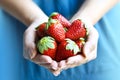 Woman Holding Strawberries Royalty Free Stock Photo