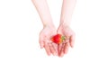 Woman holding strawberry in hands isolated on white background with clipping path Royalty Free Stock Photo