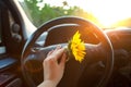 Woman holding sunflower flowers in car Royalty Free Stock Photo