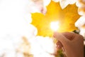 Woman holding sunlit leaf with heart shaped hole outdoors. Autumn season Royalty Free Stock Photo