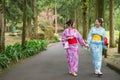 Woman holding their hands and taking a walk Royalty Free Stock Photo