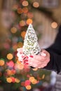 Woman holding a tiny Christmas tree in her hands