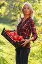 Woman holding a tomato box