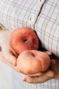 Woman holding two ripe peaches in her hands. Royalty Free Stock Photo