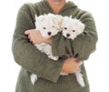 Woman Holding Two Young Maltese Puppies Isolated on White