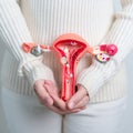 Woman holding Uterus and Ovaries model. Ovarian and Cervical cancer, Cervix disorder, Endometriosis, Hysterectomy, Uterine