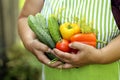 woman holding vegetables.Eco product. Vegetable set. preserving vegetables for the winter