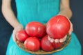 Woman holding a very large tomato, on her knees a basket with tomatoes.