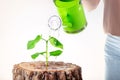 Woman holding watering can watering green plant. Eco Royalty Free Stock Photo