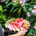 Woman holding watermelon Royalty Free Stock Photo