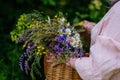 Woman holding wicker basket with meadow flowers. A colorful variety of summer wildflowers. Royalty Free Stock Photo