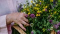 Woman holding wicker basket with meadow flowers. A colorful variety of summer wildflowers. Royalty Free Stock Photo