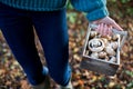 Close Up Of Woman Holding Wooden Basket Of Freshly Picked Wild Mushrooms