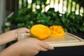 Woman holding wooden board with cut ripe mango outdoors, closeup Royalty Free Stock Photo