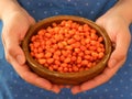 Woman holding wooden bowl full of frozen ripe sea buckthorn berries in her hands. Closeup Royalty Free Stock Photo