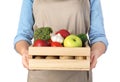 Woman holding wooden crate filled with fresh vegetables and fruits against white background Royalty Free Stock Photo