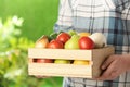 Woman holding wooden crate filled with fresh vegetables and fruits outdoors Royalty Free Stock Photo