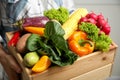 Woman holding wooden crate full of fresh vegetables on light background, closeup Royalty Free Stock Photo