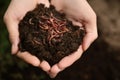 Woman holding worms with soil, closeup