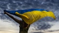 Woman holding a yellow and blue flag of Ukraine on a background of dark cloudy sky. Royalty Free Stock Photo