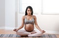 Woman holding yoga pose while pregnant Royalty Free Stock Photo