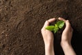 Woman holding young plant over soil, top view. Gardening time Royalty Free Stock Photo