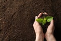 Woman holding young plant over soil, space for text. Gardening time Royalty Free Stock Photo