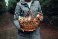Woman Holds Basket Of Oily Mushrooms In Autumn Forest. Picking Up Fresh Organic Slippery Jack Mushrooms