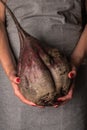 Woman holds big ugly organic ripe beetroot,vertical orientation