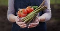 A woman holds a bowl with fresh vegetables - tomatoes, asparagus, cucumbers - ingredients for healthy food