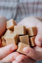 Woman holds brown sugar cubes in hands. Royalty Free Stock Photo