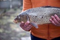 Woman holds a of carp fish outside. Cooking for dinner outside, picnic concept