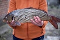 Woman holds a of carp fish outside. Cooking for dinner outside, picnic concept