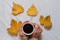 Autumn Serenity: Embracing the Warmth of Coffee and Nature Royalty Free Stock Photo