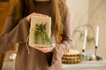 a woman holds a gift box decorated with a Christmas tree branch and a cone. new year gift