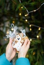 A woman holds gingerbread in the form of a cartoon snowman in her hands on the background of a green Christmas tree Royalty Free Stock Photo