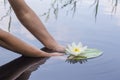 Woman holds in hands beautiful water lily in a lake in the woods Royalty Free Stock Photo