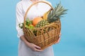 Woman holds fruit basket with vegetables in her hands Royalty Free Stock Photo