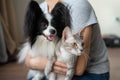 A woman holds in her hands a brush sphinx cat and a papillon dog