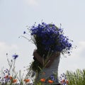 A woman holds a large bouquet of blue Royalty Free Stock Photo