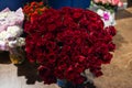 Woman holds luxury bouquet of red roses.