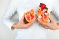 Woman holds model heart at white body Royalty Free Stock Photo