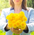 A woman holds out a yellow bouquet of wild flowers. Lady with a bouquet of dandelions. Blurred background. Royalty Free Stock Photo