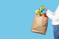 Woman holds a paper bag filled with groceries such as fruits, vegetables, milk, yogurt, eggs isolated on blue