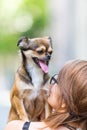 Woman holds a pekinese-chihuahua hybrid on the shoulder