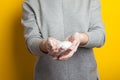 Woman holds and shows soap in her hands. Palms and fingers in soapy foam stretch the soap forward, on a yellow background. Hand Royalty Free Stock Photo