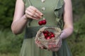 A woman holds a string bag full of organic sweet cherry.