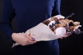 Woman holds a sweet eatable bouquet wrapped in paper on black background Royalty Free Stock Photo